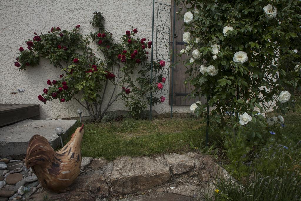 Chambre D'Hotes La Bichette Chassagny Dış mekan fotoğraf
